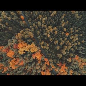 Meet your Posher, Kristy